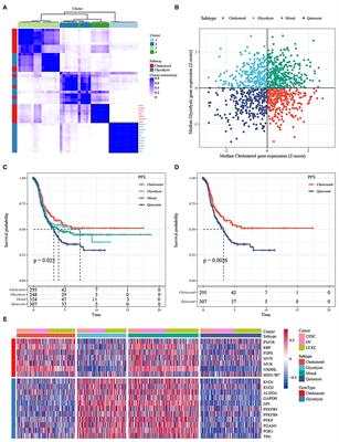 Identification and Development of Subtypes With Poor Prognosis in Pan-Gynecological Cancer Based on Gene Expression in the Glycolysis-Cholesterol Synthesis Axis